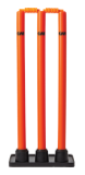 WICKET-IMAGE